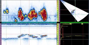 Hydrogen Induced Crack Inspection